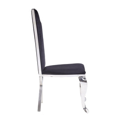 Zenith Black Fabric & Stainless Steel Side Chair (Set of 2)