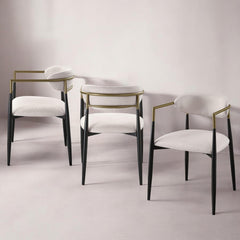 Aphrodite Beige Linen & Black Finish Side Chair (Set of 2)