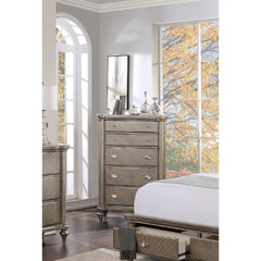 Luxury Classic Antique Silver / Champagne Finish 1pc Chest of Drawers Storage Space Bedroom Furniture