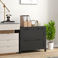 Lateral File Cabinet, 2 Drawer Filing Cabinet with Adjustable Hanging Bar for Letter, A4 and Legal Size, Black