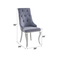 Showcase Gray Fabric & Stainless Steel Side Chair (Set of 2)
