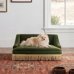 Uranus 33" Medium Princess Pet Bed Sofa with Fringe Skirt, Olive Green Performance Velvet