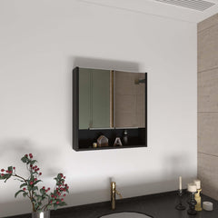 Rectangle Medicine Cabinet with Mirror Wenge