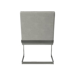 Agamemnon Upholstered with Dining Chair with Cantilever Base, Set of 2, Gray