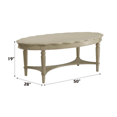 Hector French Antique White Finish Coffee Table