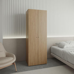 Home 2 Doors Closet System Armoire, Hanging Rod and Storage Shelf, Modern Armoire for Bedroom Organization Storage