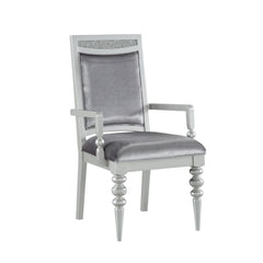 Symphony Fabric & Platinum Finish Arm Chair (Set of 2)