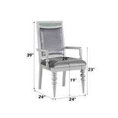 Symphony Fabric & Platinum Finish Arm Chair (Set of 2)