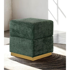 Contemporary Style Cube Design Accent Storage Compartment Stool Gold Plated Base Stainless Steel Green Finish Primary Living room