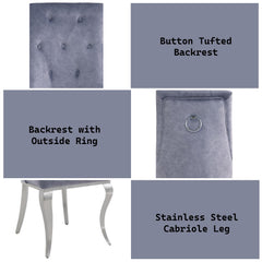 Showcase Gray Fabric & Stainless Steel Side Chair (Set of 2)