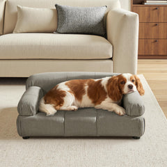Nova Upholstered Modern Pet Bed, Small to Medium Dog or Cat Uptown Gray Performance Velvet