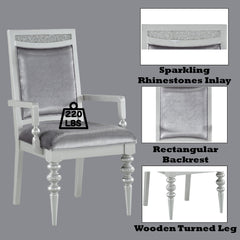 Symphony Fabric & Platinum Finish Arm Chair (Set of 2)