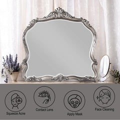 Artemis Antique Platinum Finish Mirror