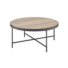Hera Weathered Gray Oak & Metal Finish Coffee Table
