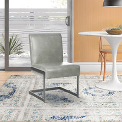 Agamemnon Upholstered with Dining Chair with Cantilever Base, Set of 2, Gray