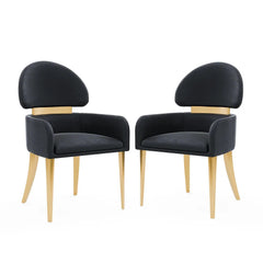 Contemporary Style 2pc Arms Chairs Stainless steel Gold Matte Finish Dining Room Furniture Black
