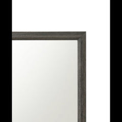 Neptune Weathered Gray Finish Mirror