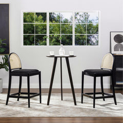 Neptune 26.5" Curved Back Cane Rattan Counter Stool, Set of 2, Ebony Black Boucle