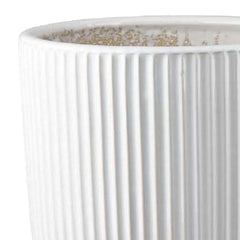 Nebula Accent Planter Set of 2, White Ceramic, Vertical Ribbed Texture