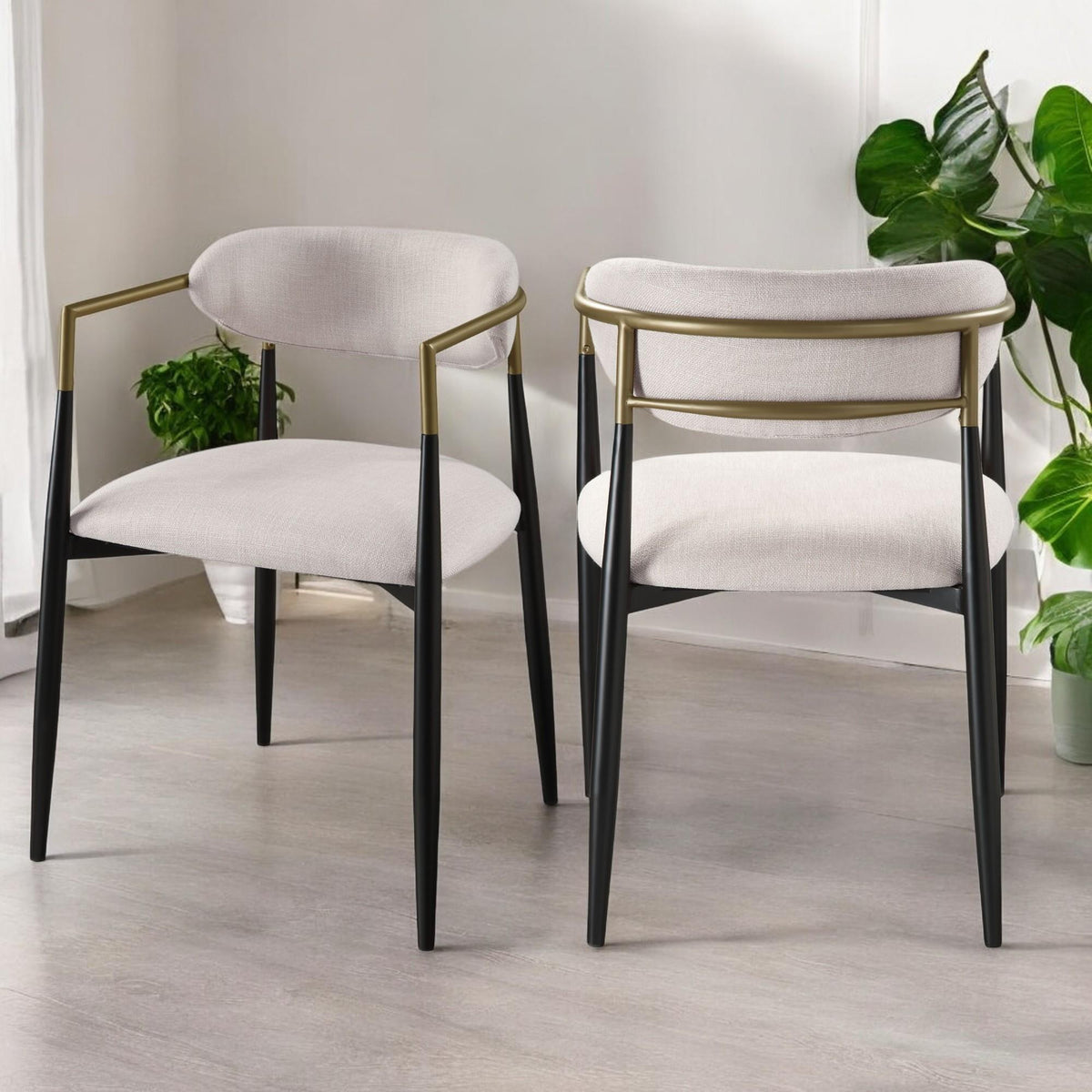Aphrodite Beige Linen & Black Finish Side Chair (Set of 2)