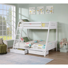Transitional Bunk Bed White Finishing And Underbed Drawers Angled Ladder