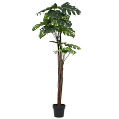 A 67-inch artificial Monstera plant with green leaves and wooden stems in a black pot.