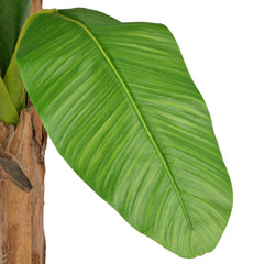 98.4-inch artificial banana tree with green leaves and pot.