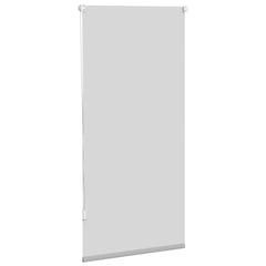 Blind Grey Polyester, Aluminum, PVC 23.6 x 47.2