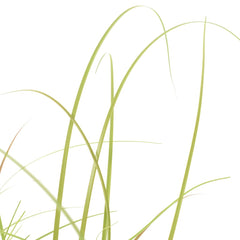37.4-inch artificial grass plant in brown-green hues in a black pot.