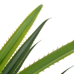 Artificial green yucca tree plant in a pot, 57.1 inches tall with spiky leaves.