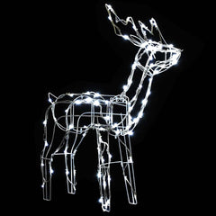 Christmas Light Display Warm White PVC Large Decorative Inlays