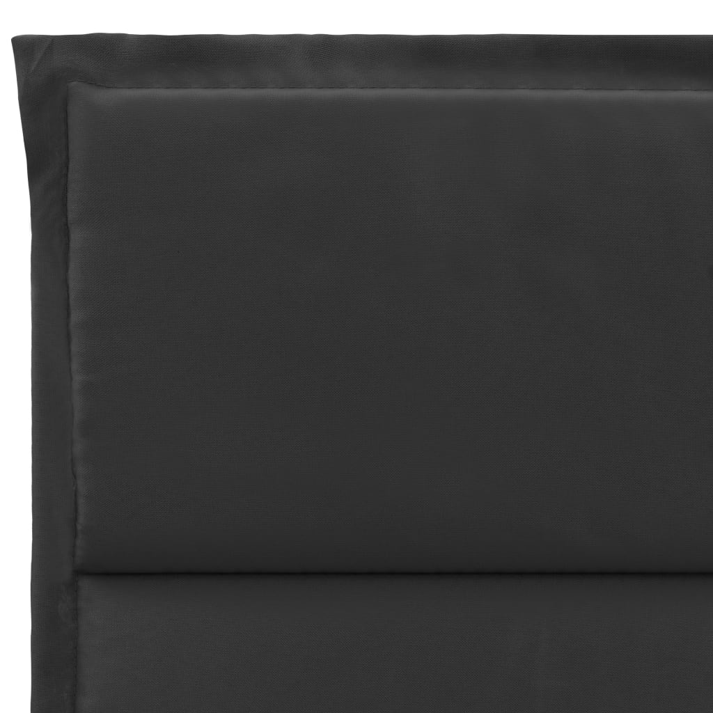 Anthracite polyester sunlounger cushion, 74.8x23.6x1.6 inches, with ties.
