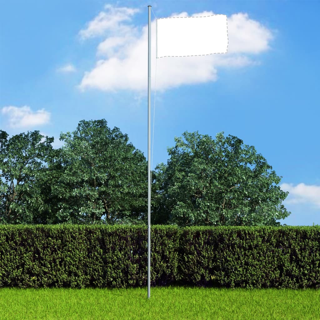 Silver 20.3-foot sectional aluminum flagpole in a yard with trees and hedge.