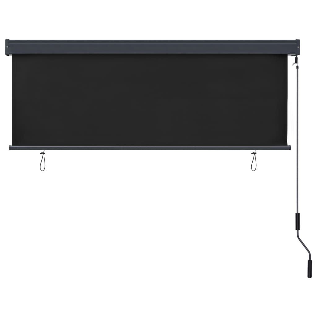 Anthracite Bostome outdoor roller blind, 63x98 inches, with crank handle.