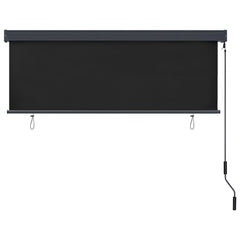 Anthracite Bostome outdoor roller blind, 63x98 inches, with crank handle.