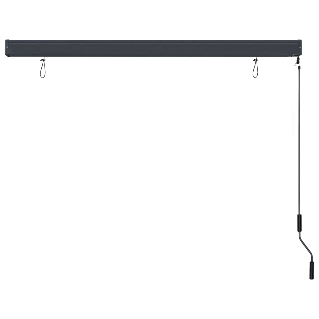 Anthracite outdoor roller blind with crank handle, 63x98 inches.