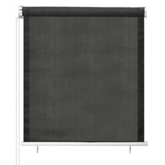 Outdoor Roller Blind 23.6x55.1 Anthracite