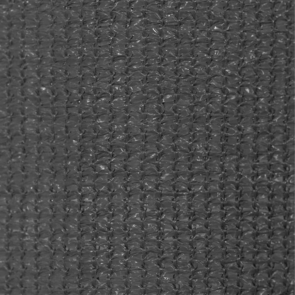 Outdoor Roller Blind 31.5x90.6 Anthracite