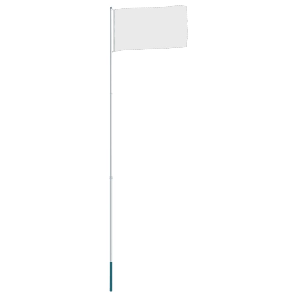 Silver 13.1-foot telescopic aluminum flagpole with white flag attached.