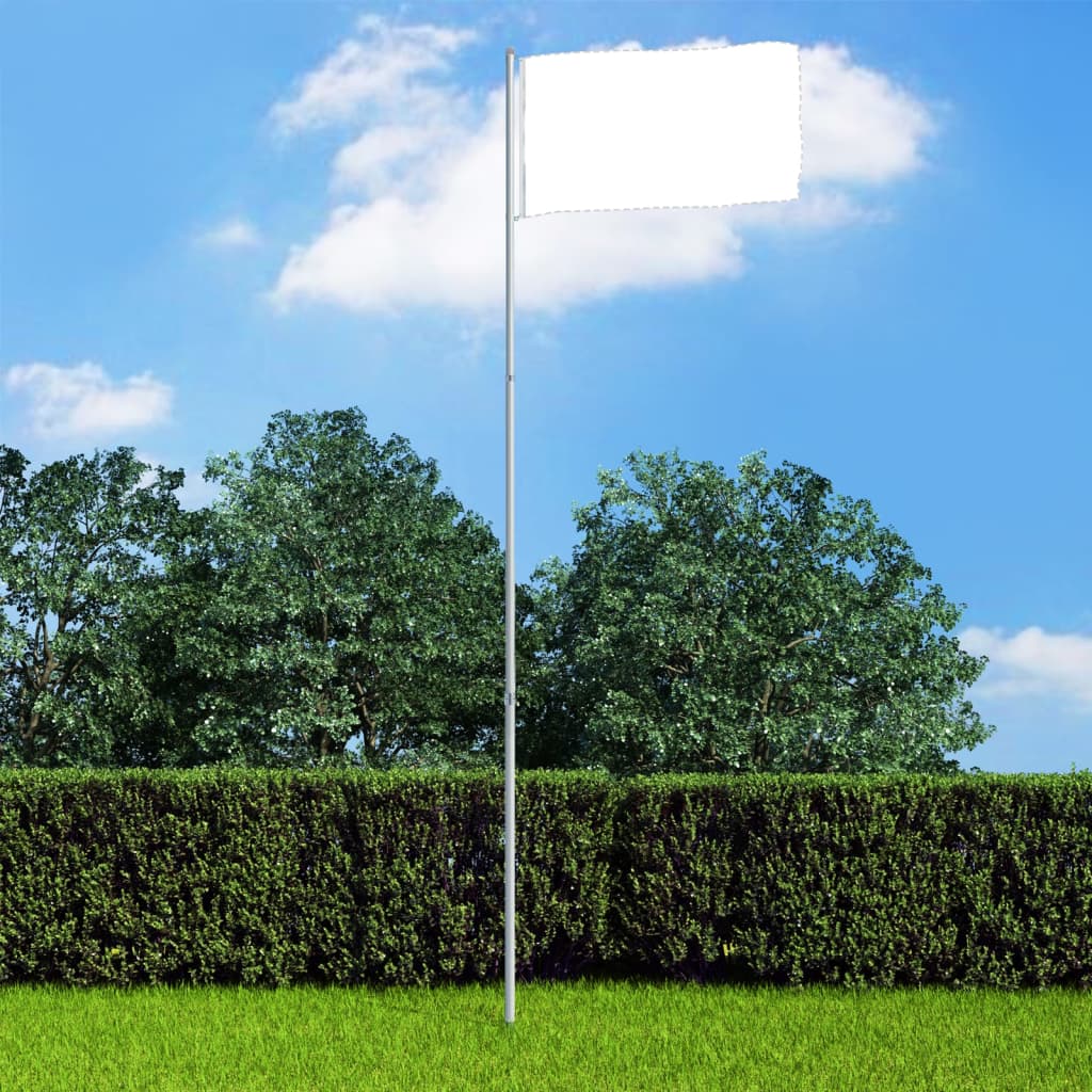 Silver 13.1-foot telescopic aluminum flagpole in a yard with blue sky and green trees.