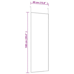 Door Mirror Gold 15.7x39.4 Glass and Aluminum