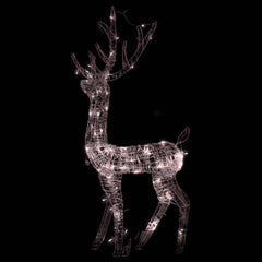 A 4ft acrylic reindeer decoration illuminated by 140 warm white LEDs for indoor or outdoor use.