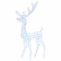 A 4ft acrylic reindeer Christmas decoration with 140 cold white LEDs.