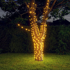 A tree wrapped in warm white solar fairy lights glowing at dusk in a garden.
