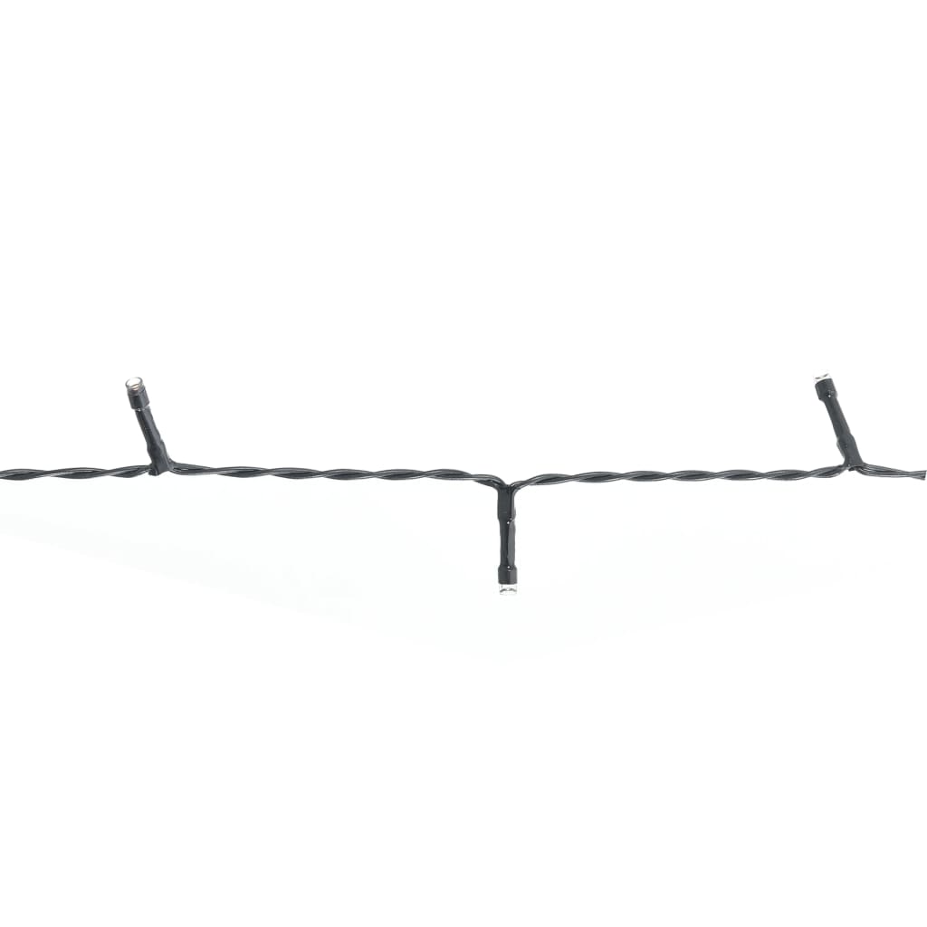 Black wire string with 100 cold white LED lights spaced evenly for holiday decoration.