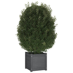 Planter Grey Solid Pinewood Medium Decorative Inlays Planter