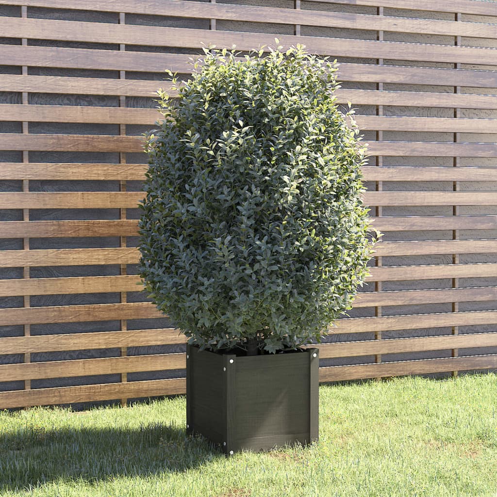 Planter Grey Solid Pinewood Medium Decorative Inlays Planter