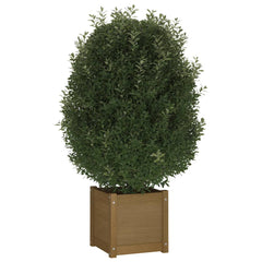 Planter Honey brown Solid pinewood 15.7x15.7x15.7 in Planters