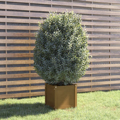Planter Honey brown Solid pinewood 15.7x15.7x15.7 in Planters