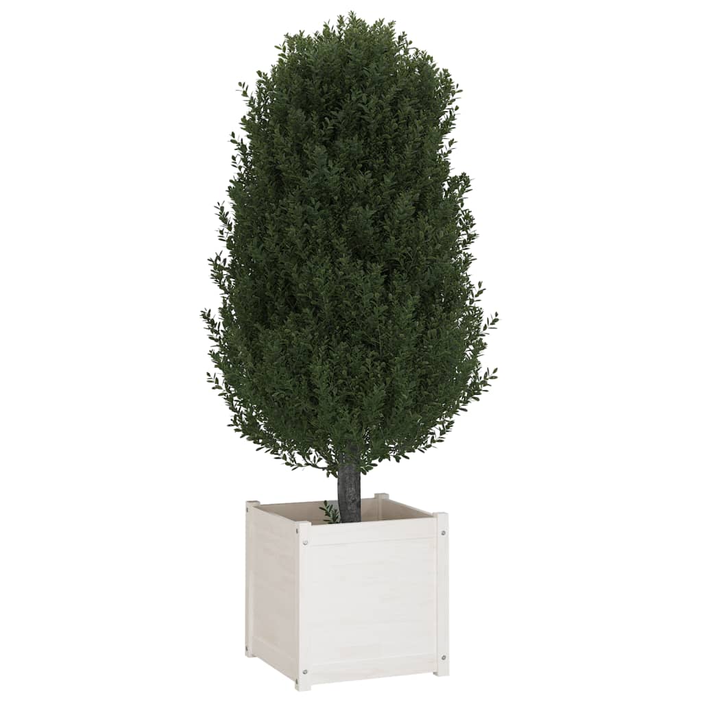 Garden Planters 2 pcs White 19.7x19.7x19.7 Solid Wood Pine